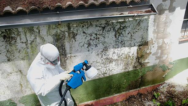 Trusted Commercial Mold Remediation service in Portland, MI - Cheap Mold Removal